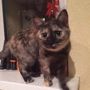 Matilda