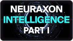Neuraxon Intelligence Part I
