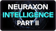 Neuraxon Intelligence Part II
