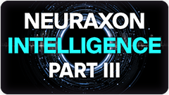 Neuraxon Intelligence Part III