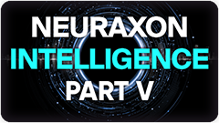 Neuraxon Intelligence Part 5