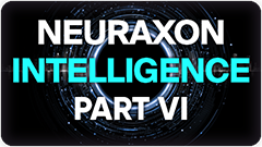 Neuraxon Intelligence Part VI