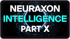 Neuraxon Intelligence Part X